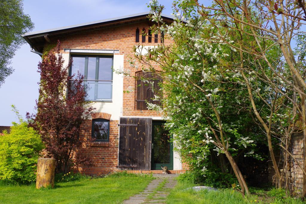Haus Am See In Kleinzerlang Δωμάτιο φωτογραφία