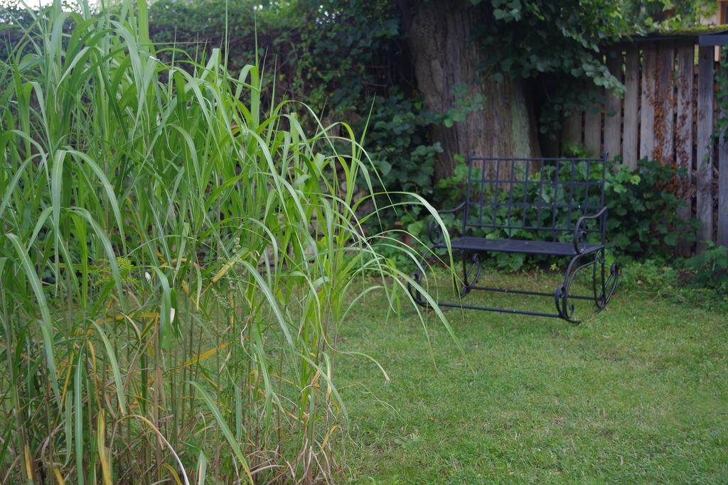 Haus Am See In Kleinzerlang Εξωτερικό φωτογραφία